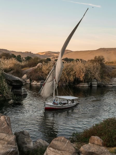 pexels-ozgomz-1755390